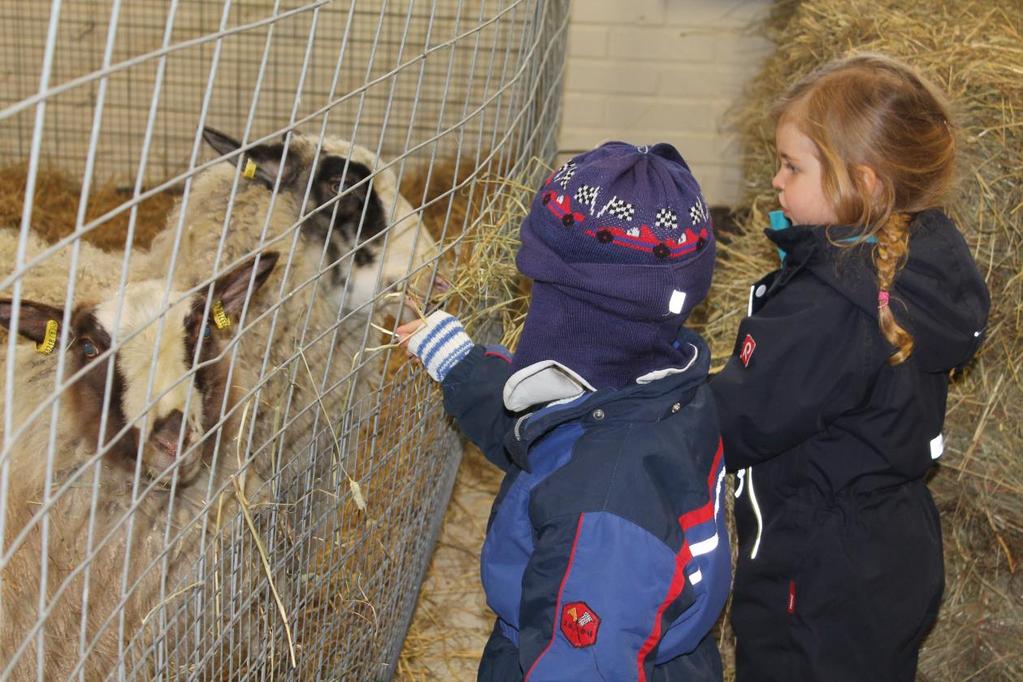 Eläinavusteiset menetelmät Ratsastusterapia on Suomessa tunnetuin eläinavusteisen terapian muoto.