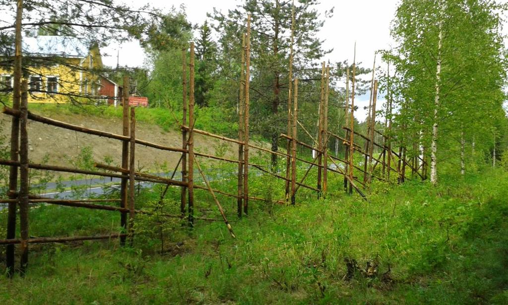 Kenelle luontoavusteisuus soveltuu? Asiakkaille, joille keskustelun rinnalle haetaan toiminnallisuutta tai yhteisöllisiä kokemuksia.