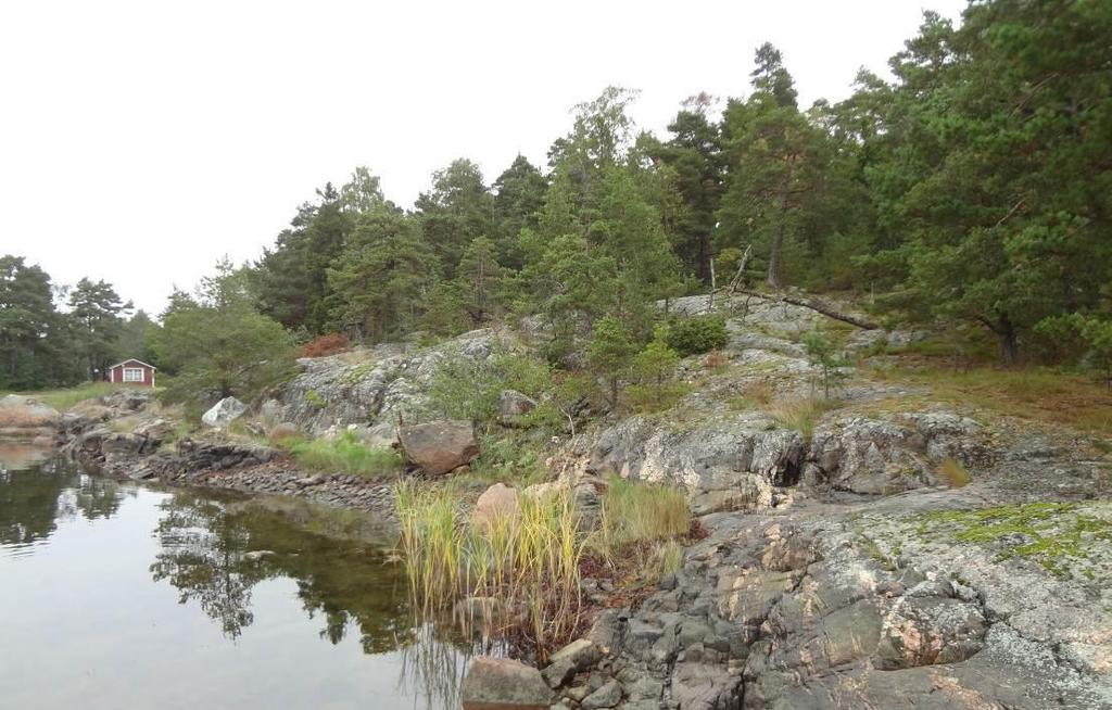 Saari muodostaa rannan edustalle suojaisan poukaman.