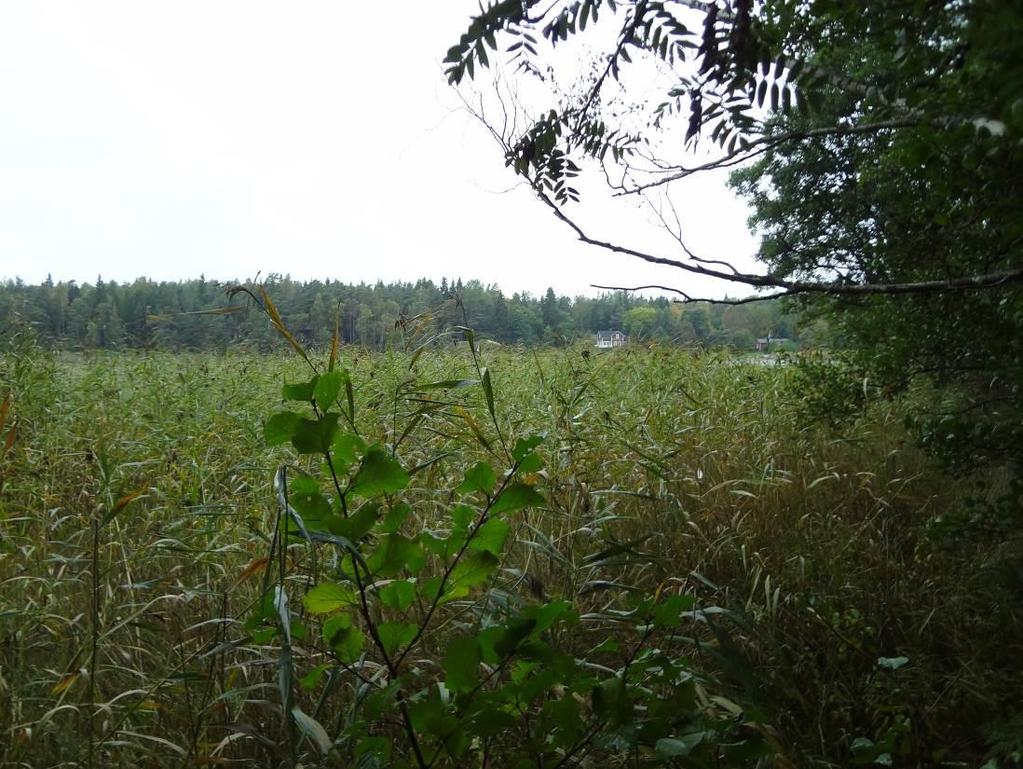 ÖFVERGÅRDIN RANTA-ASEMAKAAVA SELOSTUS 35(38) vain maa- ja metsätalouteen ja virkistyskäyttöön osoitetuilla alueilla, joten kyläalueella (AT) sitä ei sovelleta.