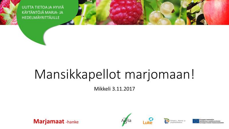 Mansikkapellot marjomaan Marja-Suomen