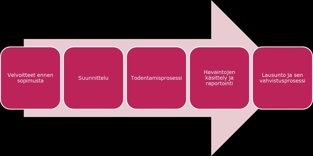 6 (24) 2. Tarkastuksen valmistelu Kestävyysjärjestelmän noudattamisen tarkastaminen sisältää useita eri työvaiheita.