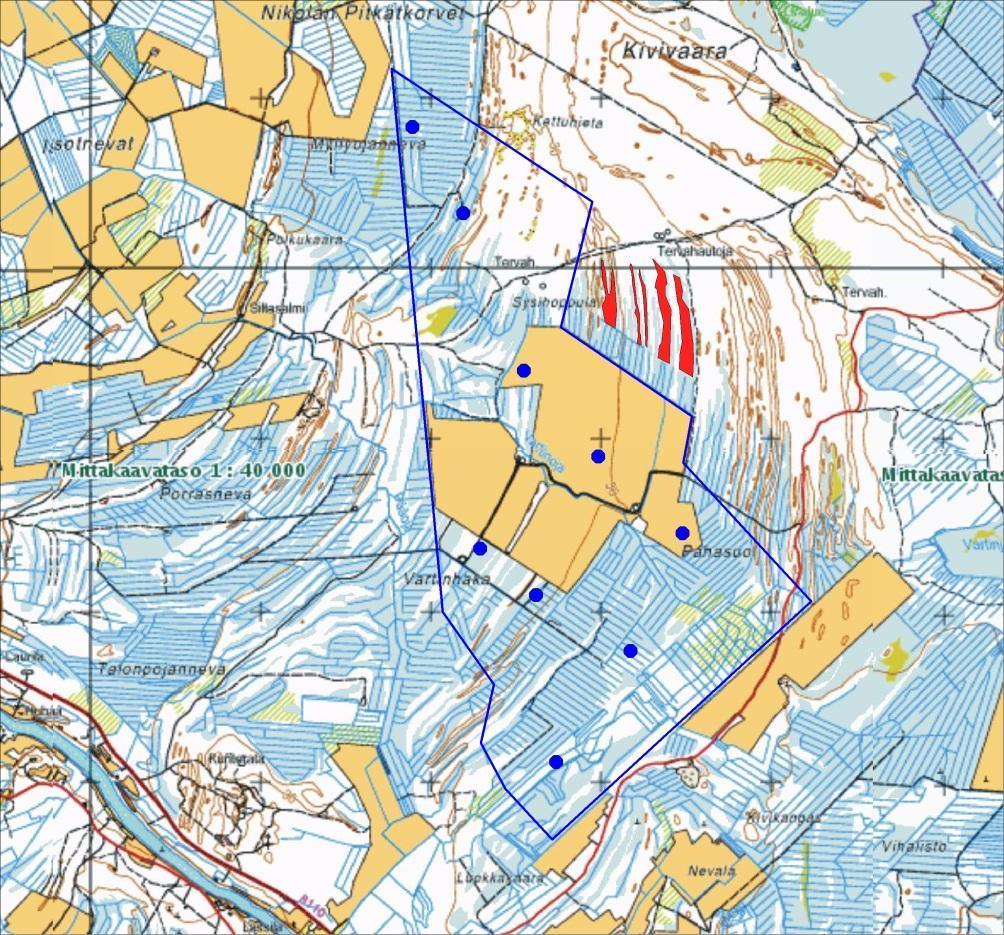 luonnontilaisia tai sen kaltaisia suoalueita on kuitenkin hankealueella Kangasmaaosilla kasvillisuustyyppi on suurimmalta osin kuivahkoa kangasta. muutamia.