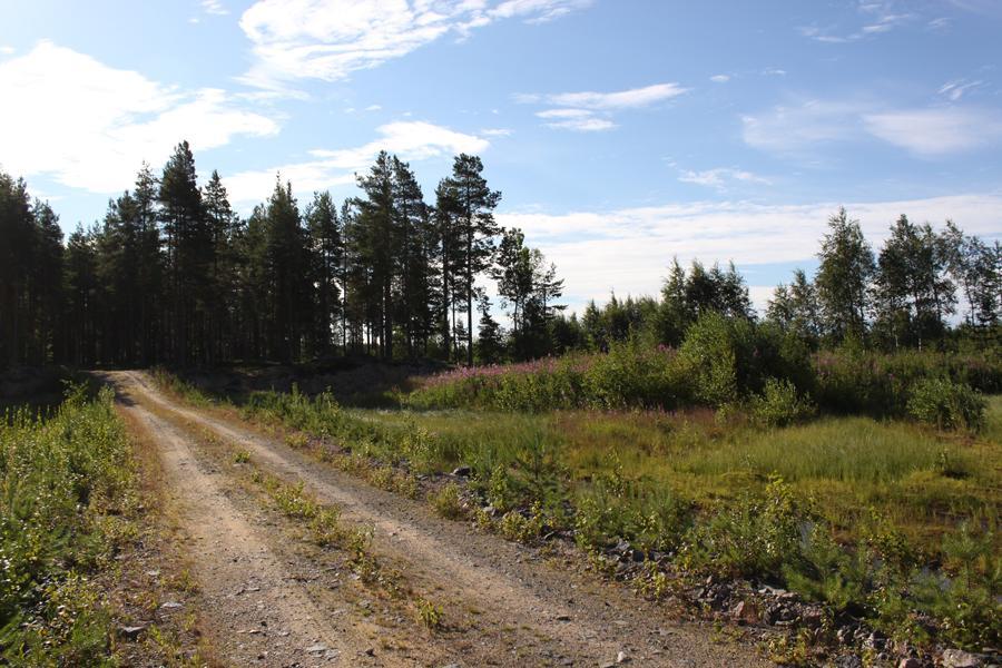 Voimala sijoittuu hiekanottopaikalle, joka on osin pensoittunutta joutomaata. Hieskoivu-, paju- ja mäntytaimien lisäksi joutomaalla runsaana kasvaa mm. maitohorsmaa ja saroja.