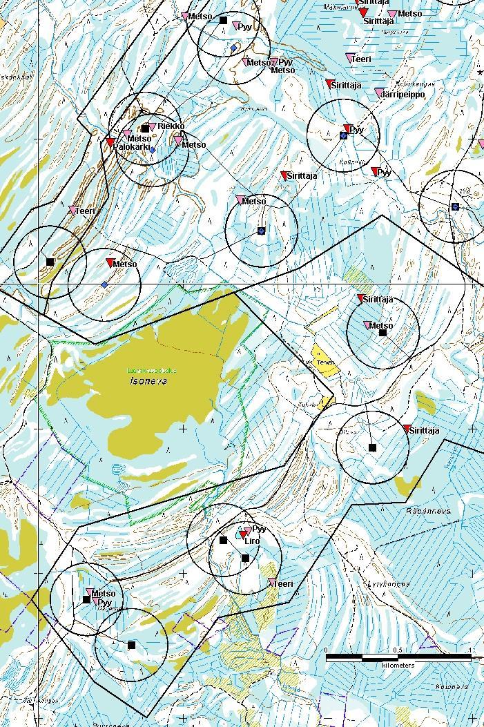 Kuva 6-211. Isonevan hankealueen länsiosa. Uhanalaiset, silmälläpidettävät, alueellisesti (3a) uhanalaiset sekä Lintudirektiivin I-liitteessä mainitut linnut.