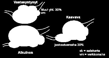 10 isompi kuin aikuisella, kuten kuviossa 2 on esitettynä.