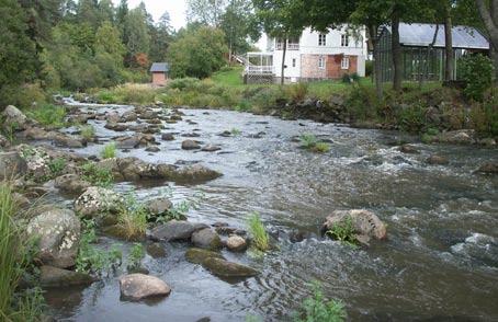 8 Kuva 6. Koeala III Nummistenkosken alajuoksulla kattoi koko joen leveyden ja koeala antoi hyvän kokonaiskuvan Nummistenkosken kalastosta. 2.