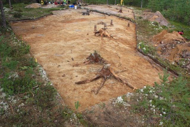 Punaisen likamaan alue on ulottunut vuoden 2012 kaivausalueelle 7a. Likamaa-aluetta reunusti molemmin puolin kellanruskean hiekan vyöhykkeet.