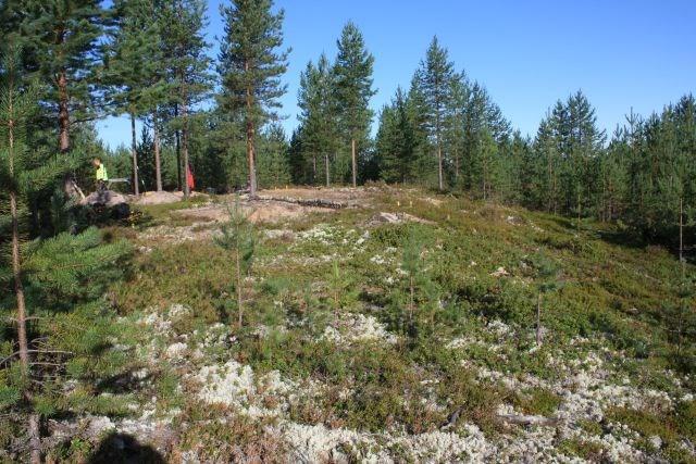 rajaa. Hangaskangas on noin 6 km pitkä ja 2 km leveä, luode-kaakkosuuntainen hiekkakangas, joka sijaitsee Oulujoen lounaispuolella noin 1, 5 km päässä joesta.