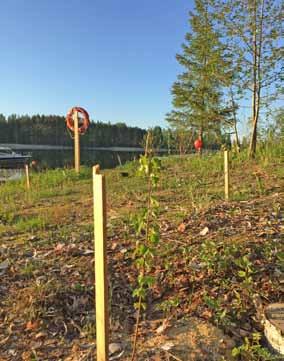 Sinikka Nissilä 427 g Hilkka Pataja - Riitta Loisa - Kari Oikkonen ja kisan suurin kala.