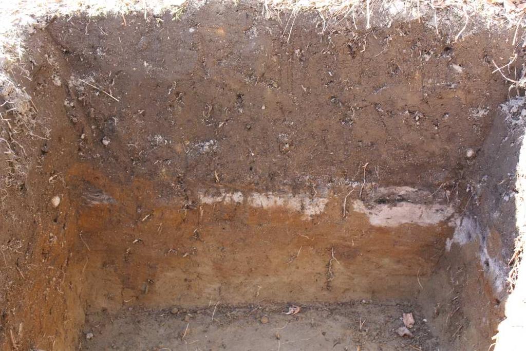 Koekuopassa nro 5 likamaakerros oli 10-25 cm paksu ja ulottui noin 65 cm syvyyteen. Sen alla oli kuopan pohjaan asti puhdasta harmaanruskeaa hiekkaa.