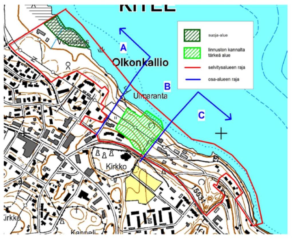 3.1.2 Luonnonympäristö Kiteen Meijerinrannan osayleiskaavatyön ohessa alueelta on tehty mm. luonto- ja maisemaselvitys, lintukartoitus ja viitasammakkoselvitys.