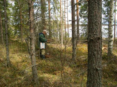 Maaperä hiekkamoreenia, kohtalaisen kivinen. Sekametsä. Useista koekuopista n. 50 m matkalla kvartseja ja luuta. Paikka on täysin ehjä ja kajoamaton.