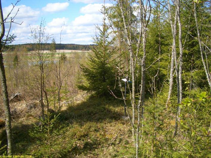 9 Asuinpaikan pohjoisosaa törmän reunalla, kuvattu pohjoiseen.