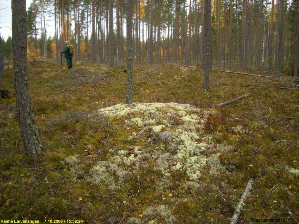 22 Pieni röykkiö