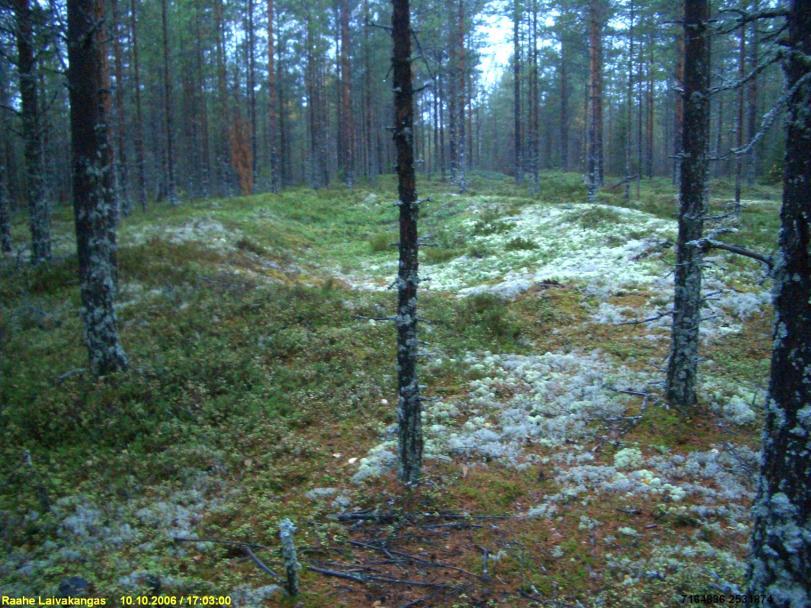 Maakuntaliiton paikka nro 35, Sarkkinen 1997 nro 51 Tien molemmin puolin useita komeita asumuspainanteita. n. 170 m kaakkoon, kunnan rajan tuntumasta metsätieltä kvartsi-iskos - mahd.