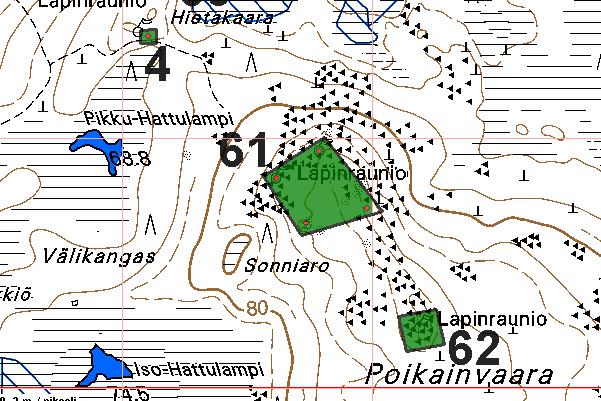 45 RAAHE 61 POIKAINVAARA 1 kivikautinen tunnistamaton: röykkiö, kuoppa 2441 10 x: 7162 94 y: 2530 86 p: 7164 88 i: 3387 03 Purhonen P 1976 tarkastus, Itäpalo J 1994 inventointi Sijainti: