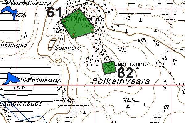 46 RAAHE 62 POIKAINVAARA 2 kivikautinen tunnistamaton: kivirakenne 2441 10 x: 7162 61 y: 2531 10 p: 7164 54 i: 3387 25 Purhonen P 1976 tarkastus, Itäpalo J 1994 inventointi