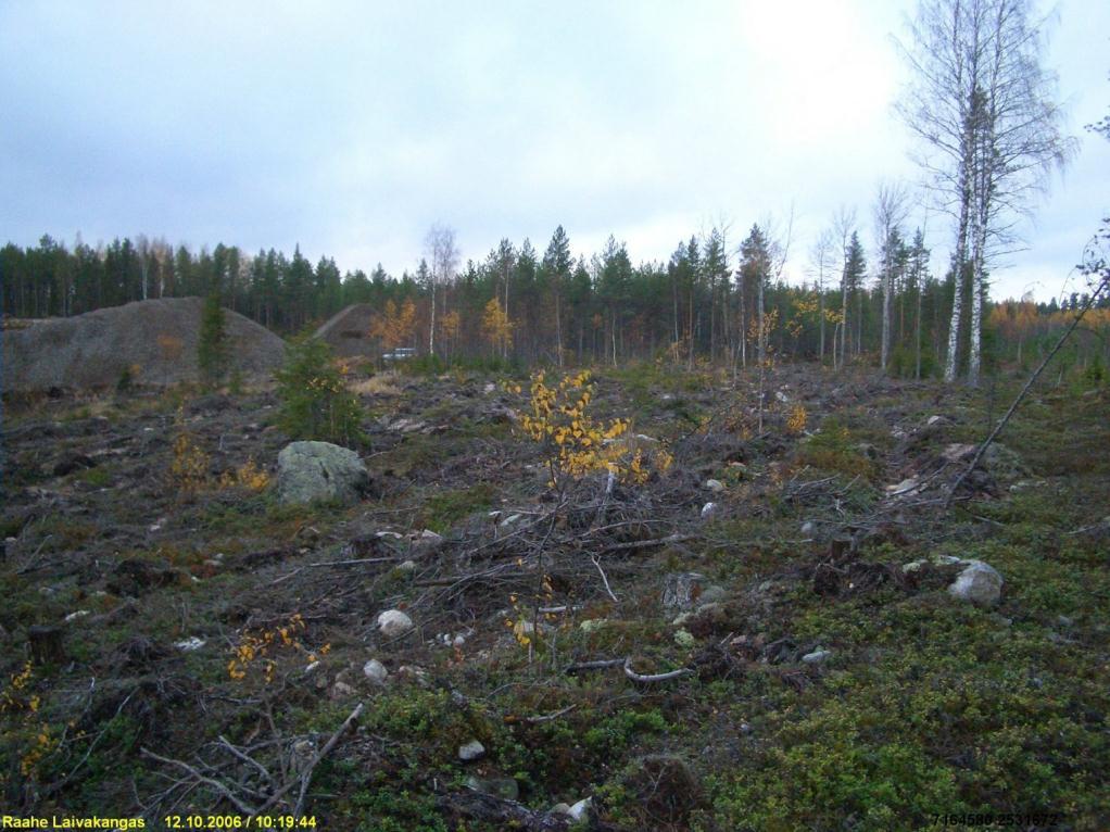 Lapinraunio (33) takana olevan metsäkumpareen