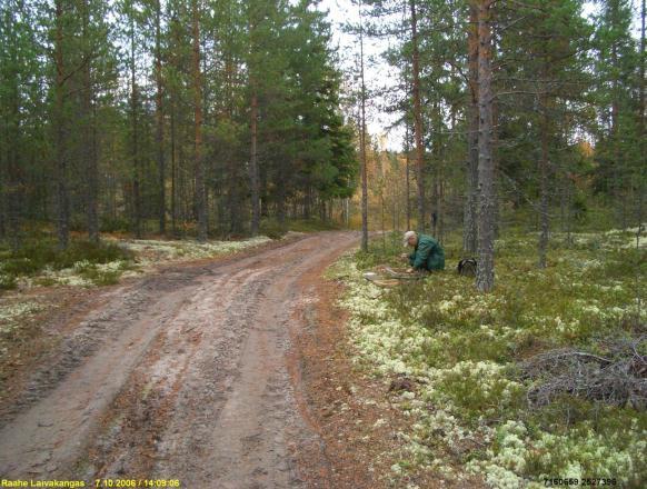 Ympäristöä koekuopitettiin laajalti. Paikka on kevyttä metsätietä lukuun ottamatta täysin ehjä ja kajoamaton. Maaperä paikalla on tasarakeinen puhdas hiekka, rantakerrostuma.