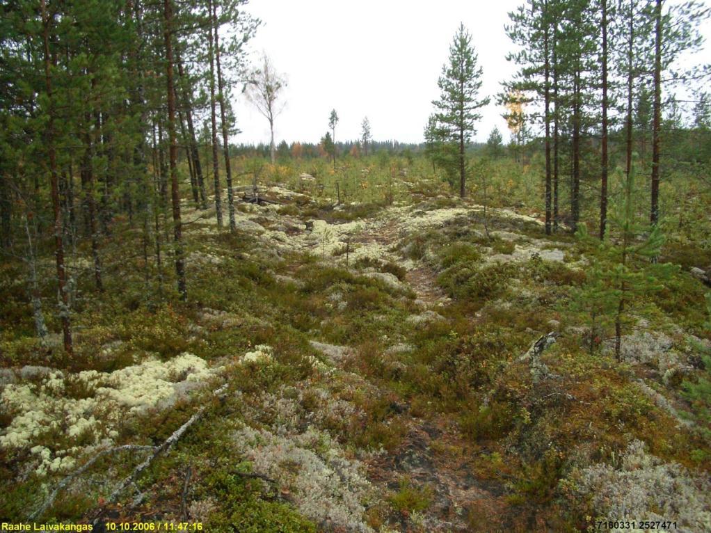 68 Mahdollisesti pitkä painanne rantavallin