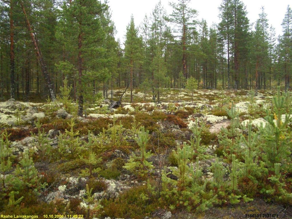 kuvattu lounaaseen painanteen koillispäästä