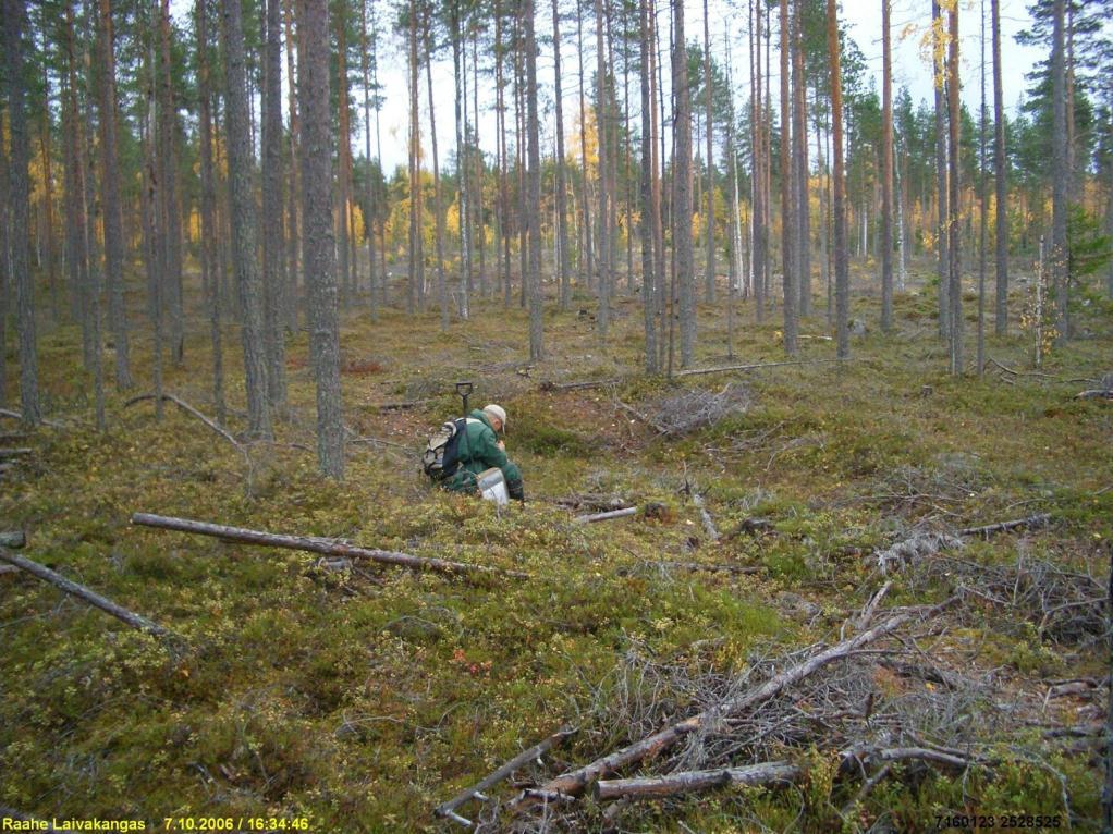 kuvattu pohjoiseen.