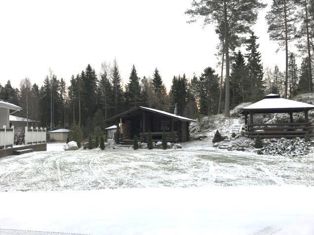 Puistoalue on havupuuvaltaista kallioista aluetta, joka kohoaa ympäristöstään noin 3-5m.