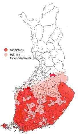 Juurikääpätuhojen tunnistaminen ja torjunta { 6 } Kuva 1. Kuusen tyvilahon levinneisyys 20