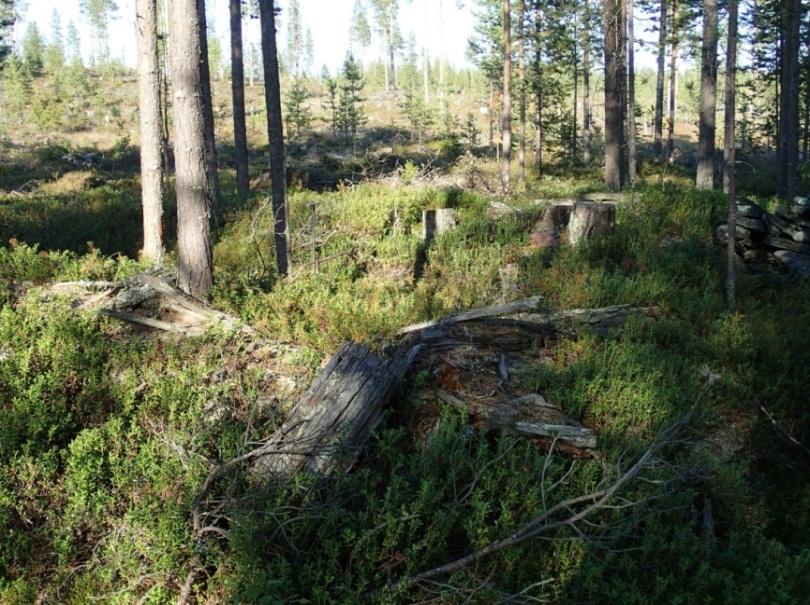 Bilund 2012 inventointi Kohde sijaitsee Palkisvaaraa vastapäätä, sen pohjoispuolisella harjanteella. Kämpän jäännös 7x8 m. Kyseessä on hirsikehikko.