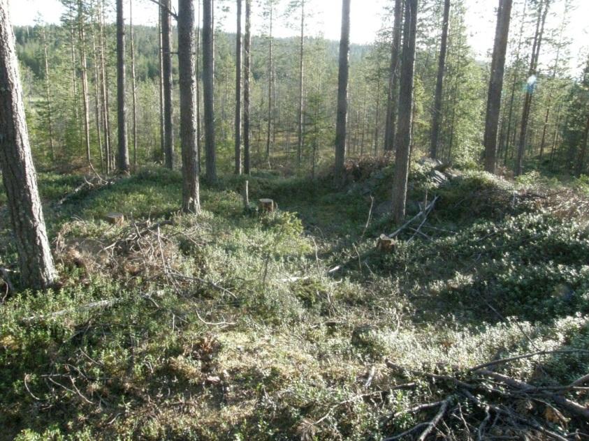 Sen vasemmalla reunalla on myöhemmin pinottuja kiviä.