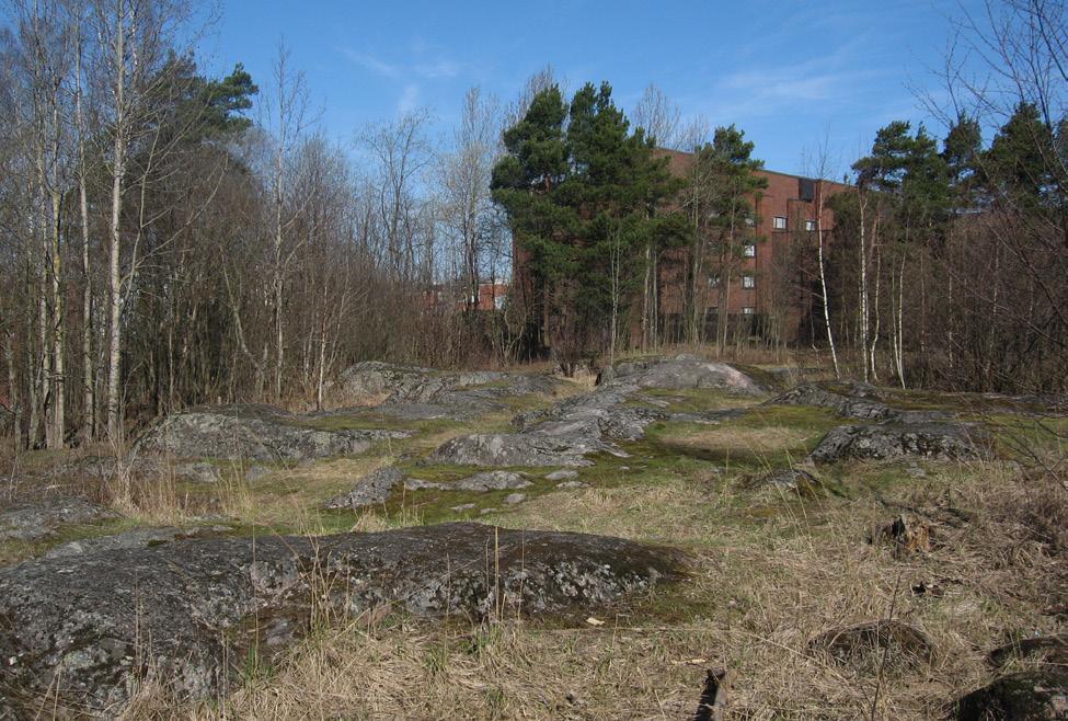 Hammaslääketieteen laitoksen itäpuoli. Selvitysalueen luonnonmukaisimpia osia ovat eteläja pohjoisosien kumpareet ja avokalliot sekä Haaganpuron ympäristö alueen luoteisosassa.