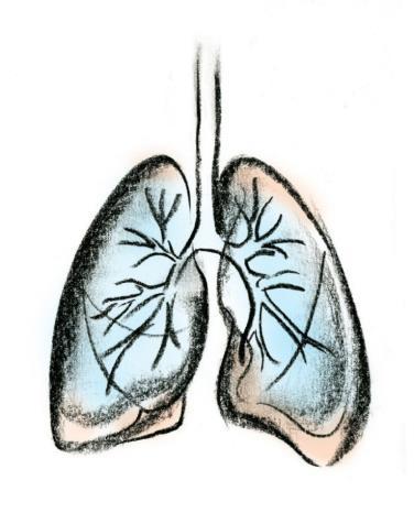 7 3 TEOREETTISET LÄHTÖKOHDAT Tämän opinnäytetyön keskeisiä käsitteitä ovat keuhkoahtaumatauti, keuhkoahtaumatautipotilaan kokonaisvaltainen hoito, kotihoito ja laadukas hoitotyö kotihoidossa (kuvio