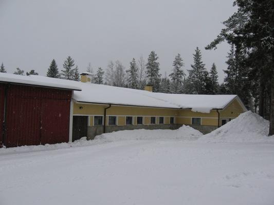 48 Tulevaisuus tilalla Tilalla on kiinnostusta jatkaa hiehojen kasvatusta myös tulevaisuudessa.