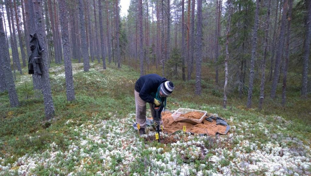 luoteesta. Kuvaaja: Petro Pesonen. AKDG 4869:36.