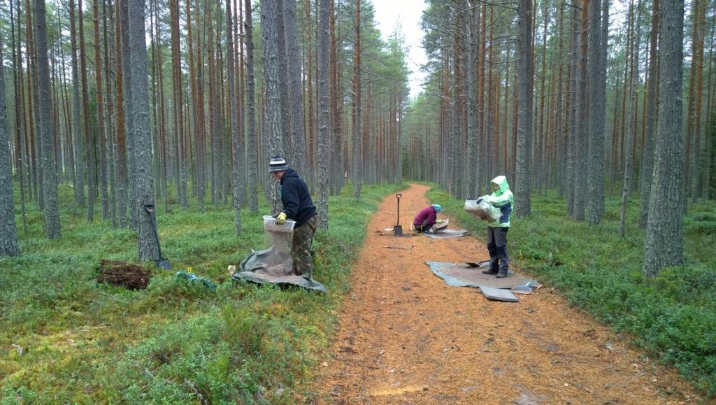 Löytöalue 5 ei ole voimalinjan rakennusalueella. AKDG 4869:6.