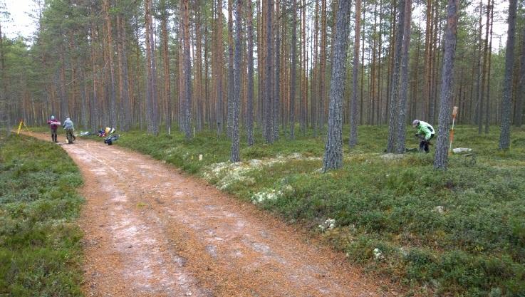 2016. Tuolloin Vetelärämeen reunan harjanteella (kaaralla) kulkevalta metsäautotieltä löytyi yksi kvartsi- ja yksi pii-iskos sekä palanut kivi (KM 40919:1-2).