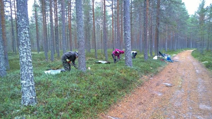 Runsaammin kivikautta on vasta noin 5 km koilliseen olevalla Raahen Kursunkankaan alueella Piehinginjoen varrella.