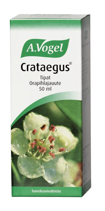 CRATAEGUS ORAPIHLAJAUUTE