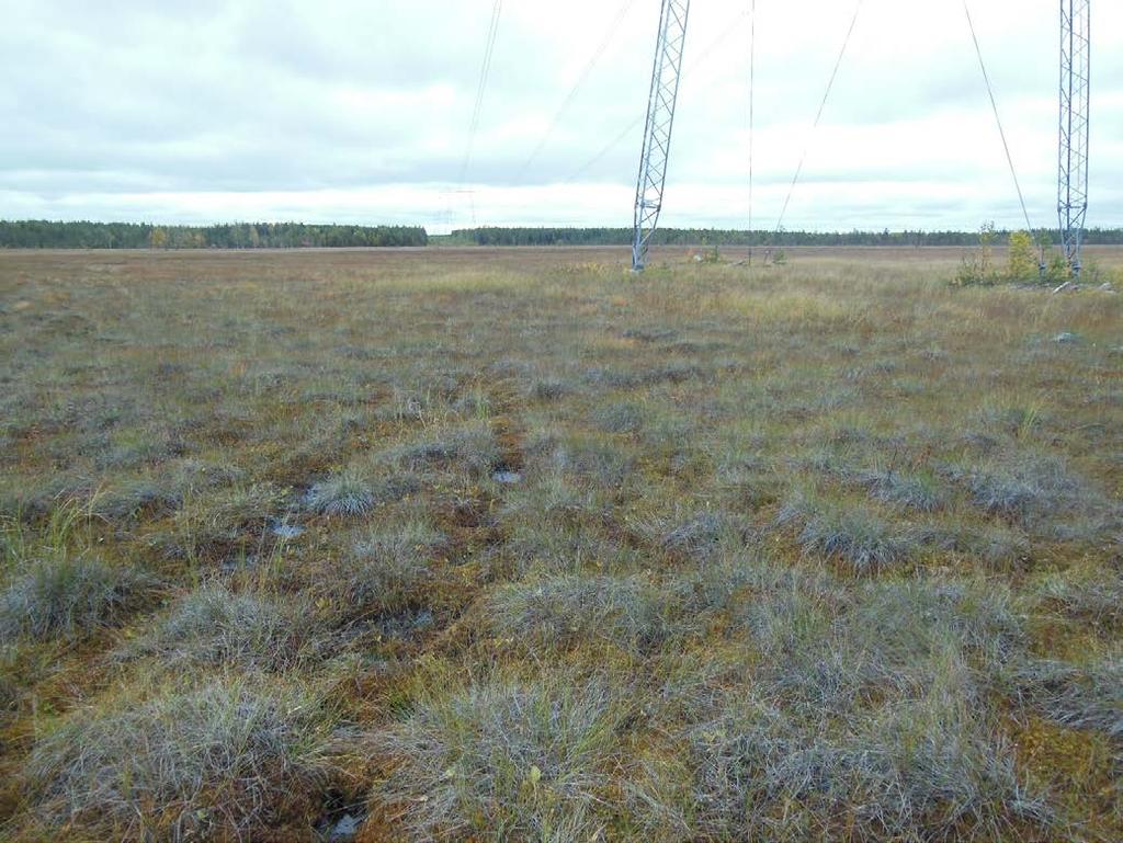 35TYmpäristövaikutusten arviointiohjelma 101 vuoksi alue on ilmoitettu, ehdotettu tai sisällytetty Natura 2000-verkostoon.