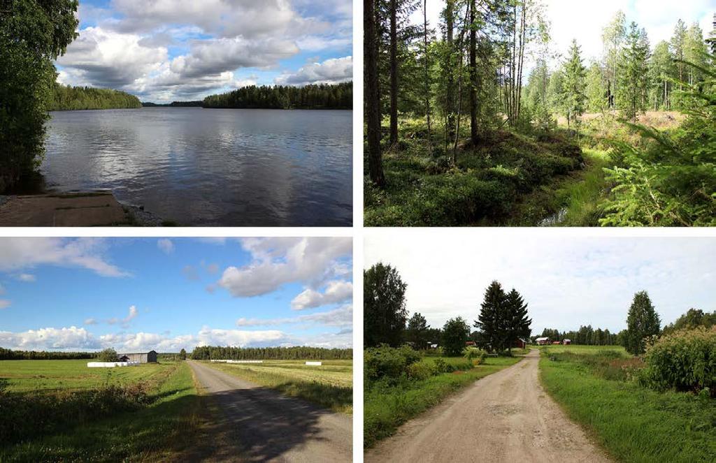 35TYmpäristövaikutusten arviointiohjelma 61 Tarkasteluvyöhykkeen viljelyalueet ovat pienialaisia ja rikkonaisia. Peltoalueet tukeutuvat pääasiassa jokien rantoihin ja jokilaaksoihin.