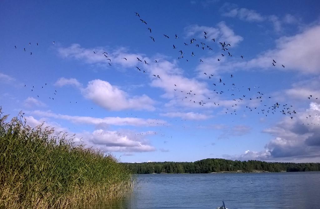 Humaljärven yhteistarkkailu 214 Suomen Sokeri Oy ja Kirkkonummen kunta,