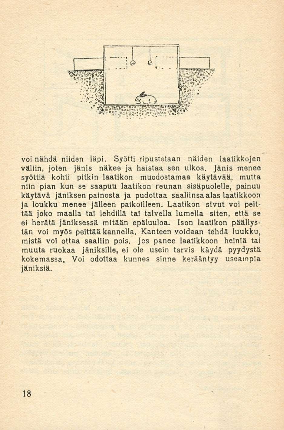 voi nähdä niiden läpi. Syötti ripustetaan näiden laatikkojen väliin, joten jänis näkee ja haistaa sen ulkoa.