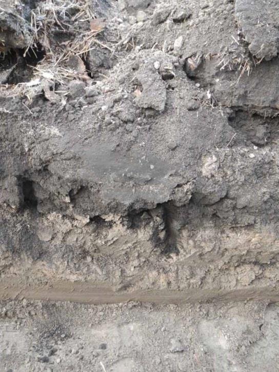(Kuva: Ulvilan kirkko 2016:9) Kaapelikaivannon pohjoisprofiili havaintokohdassa: 0 10 cm turve 10 50 cm ruskea, sekoittunut hiesu - seassa