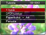 . Tulostaminen 1. Kytke kirjoittimen virta ja aseta siihen paperia. 2. Kytke virta kameraan. Tulostuksen valikkonäyttö tulee näkyviin. 3. Valitse Paperikoko painamalla [8] ja [2] ja paina sitten [6].