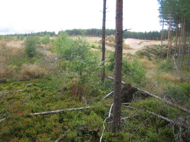 6 Luontoarvot Varsinaisia suojelukohteita tai Natura-alueita ei sijaitse suunnittelualueella eikä suunnittelualueelta lähtevien purkureittien yhteydessä.