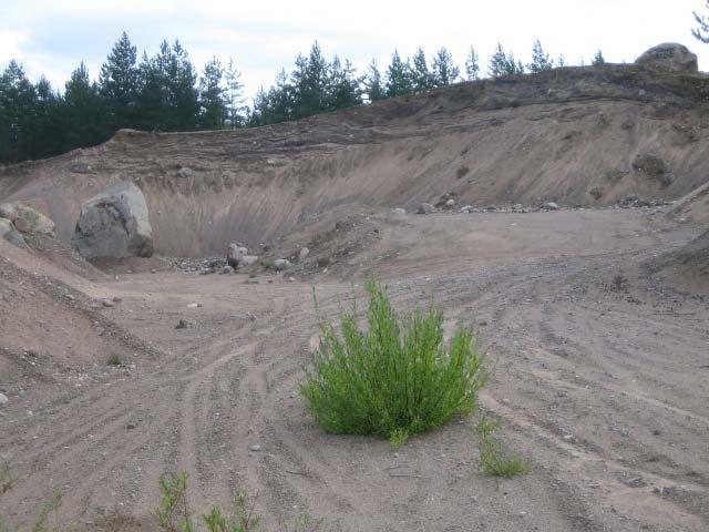 Aines Saunakankaan kerrostumassa on pääasiassa hiekkaa, jota peittää paikoittain lohkareinen moreenikerros.