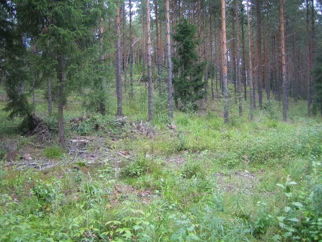 6 (26) 20.1.2014 a) b) Kuva 4. Saunakankaan pohjoisreunan valtakunnallisesti arvokas moreenimuodostuma. a) Itäinen korkeampi harjanne ei erotu maisemassa erityisen hyvin metsäisessä maastossa.