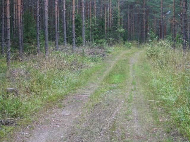 3 Pohjavesiolosuhteet Hankealue itsessään ei nykyään sijaitse luokitellulla pohjavesialueella.