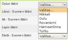 Vaihtoehto kirjoitetaan Kysymyskohtaan ja sitä vastaava oikea vastaus Vastaus-kohtaan, heti vaihtoehdon alle. Kysymyksiä ja vaihtoehtoja tulee olla vähintään kolme eikä tyhjiä kohtia ei saa käyttää.